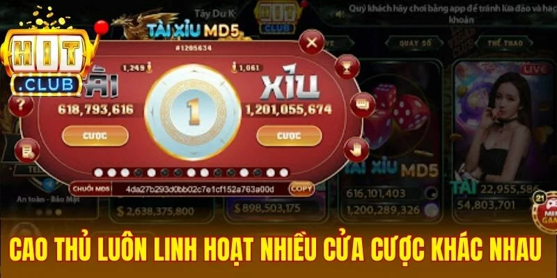 Cao thủ luôn linh hoạt nhiều cửa cược khác nhau 