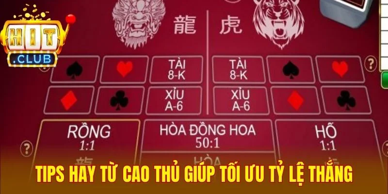 Tips hay từ cao thủ giúp tối ưu tỷ lệ thắng