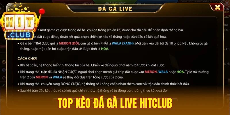Top kèo đá gà live Hitclub